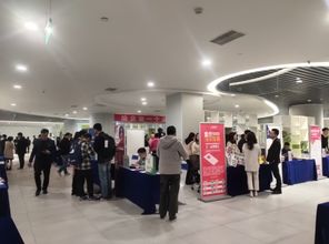 禅城创新企业服务模式，2019企业服务月启动暨全国首个企业服务集市引领发展新篇章